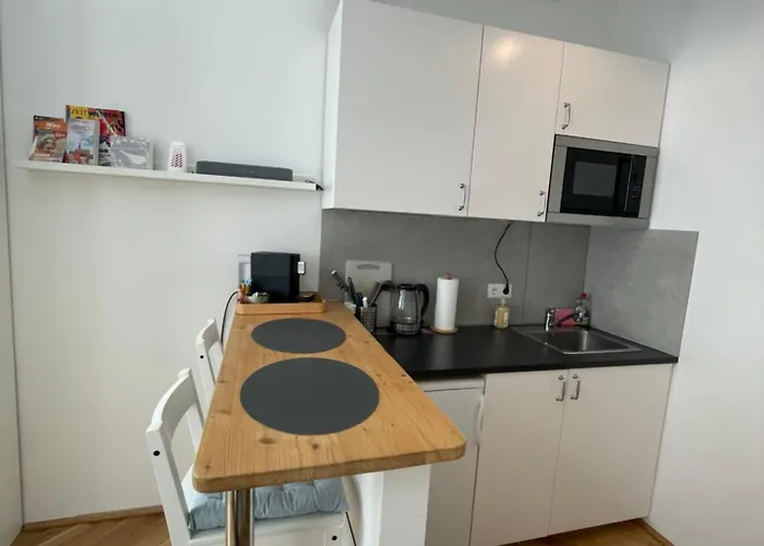 Apartment And Simple To Reach Vienna